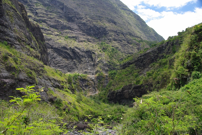 Cirque de Mafate 'Cayenne - Ilet des Lataniers' (80).JPG